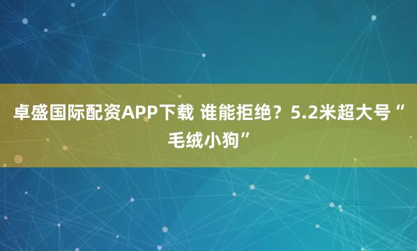 卓盛国际配资APP下载 谁能拒绝？5.2米超大号“毛绒小狗”